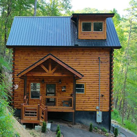 Hawks Nest Mountain Cabin Севьервилл Экстерьер фото